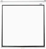 Parrot Products Electric Projector Screens 1:1 Aspect Ratio